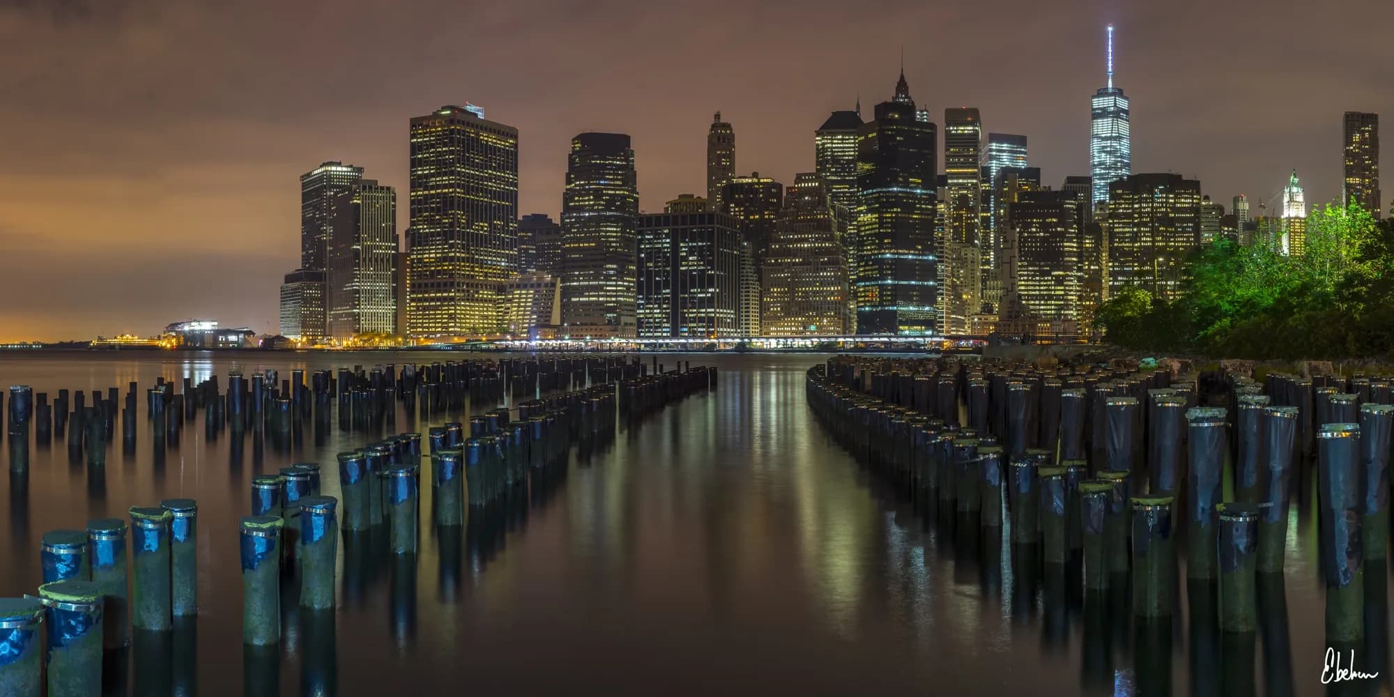 NY REFLEX