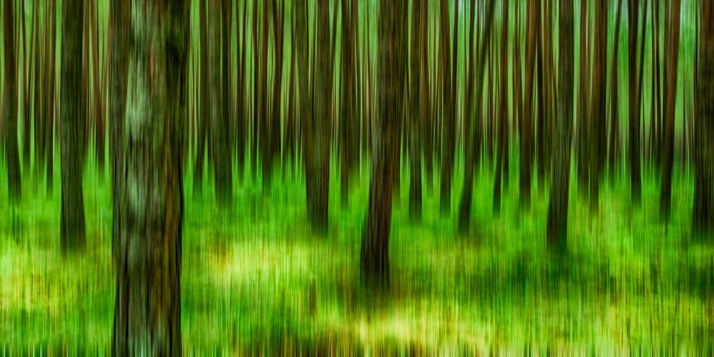 Forest Dream - Acrilico Impresion Directa Brillo
