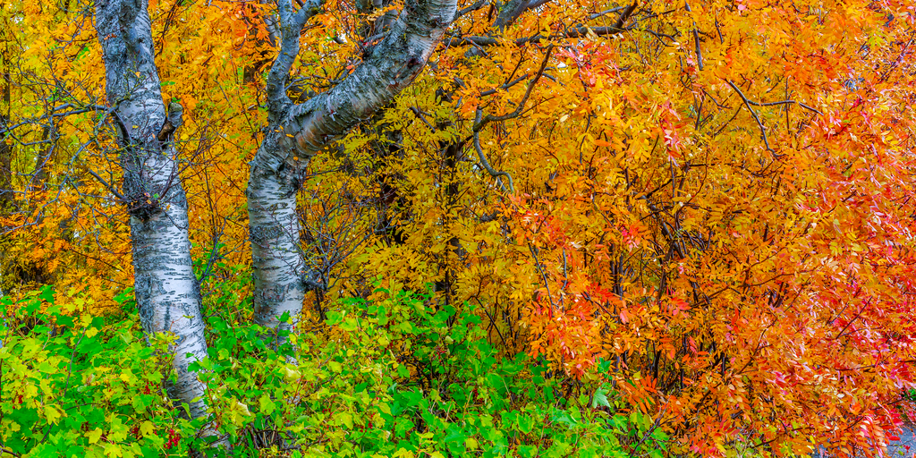 Iceland Colors - Acrilico Impresion Directa Brillo