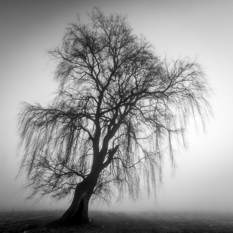 Lerma - Acrilico Impresion Directa Brillo