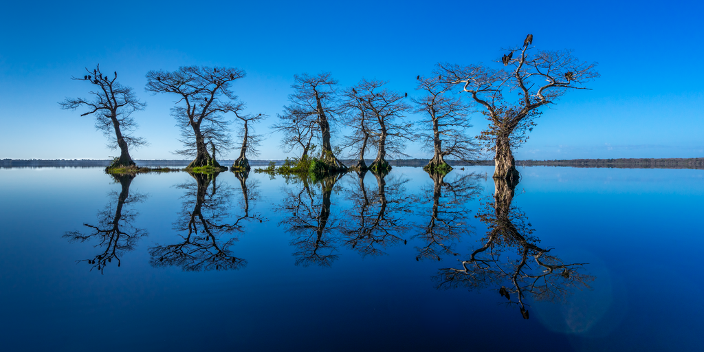 Lord of the Trees - Acrilico Impresion Directa Brillo