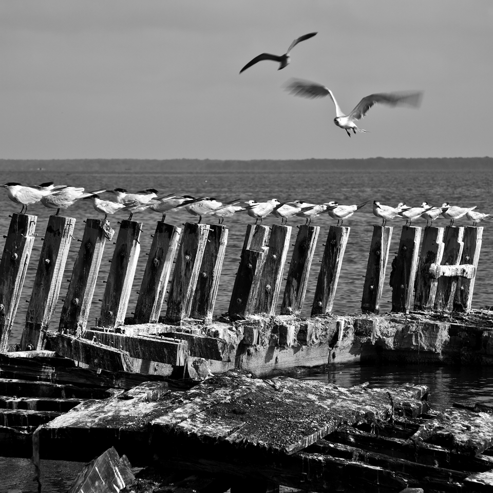 Sea Carrier - Acrilico Impresion Directa Brillo