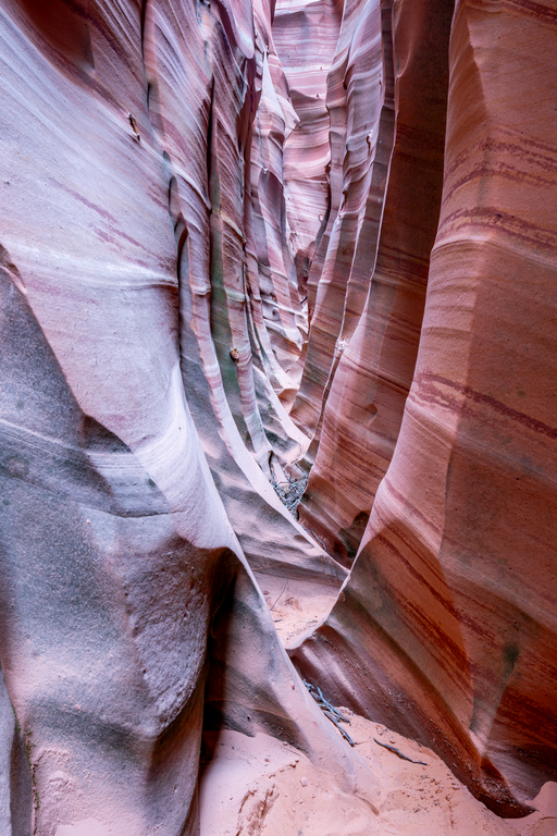 Zebra Canyon - Acrilico Impresion Directa Brillo