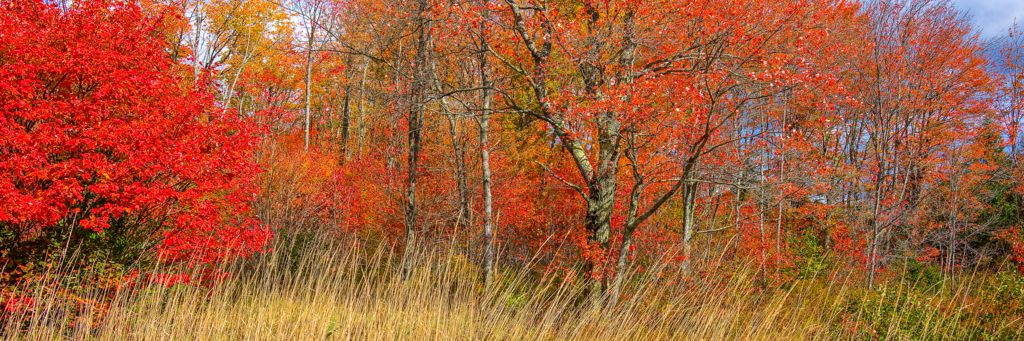 Otoño - Acrilico Impresion Directa Brillo