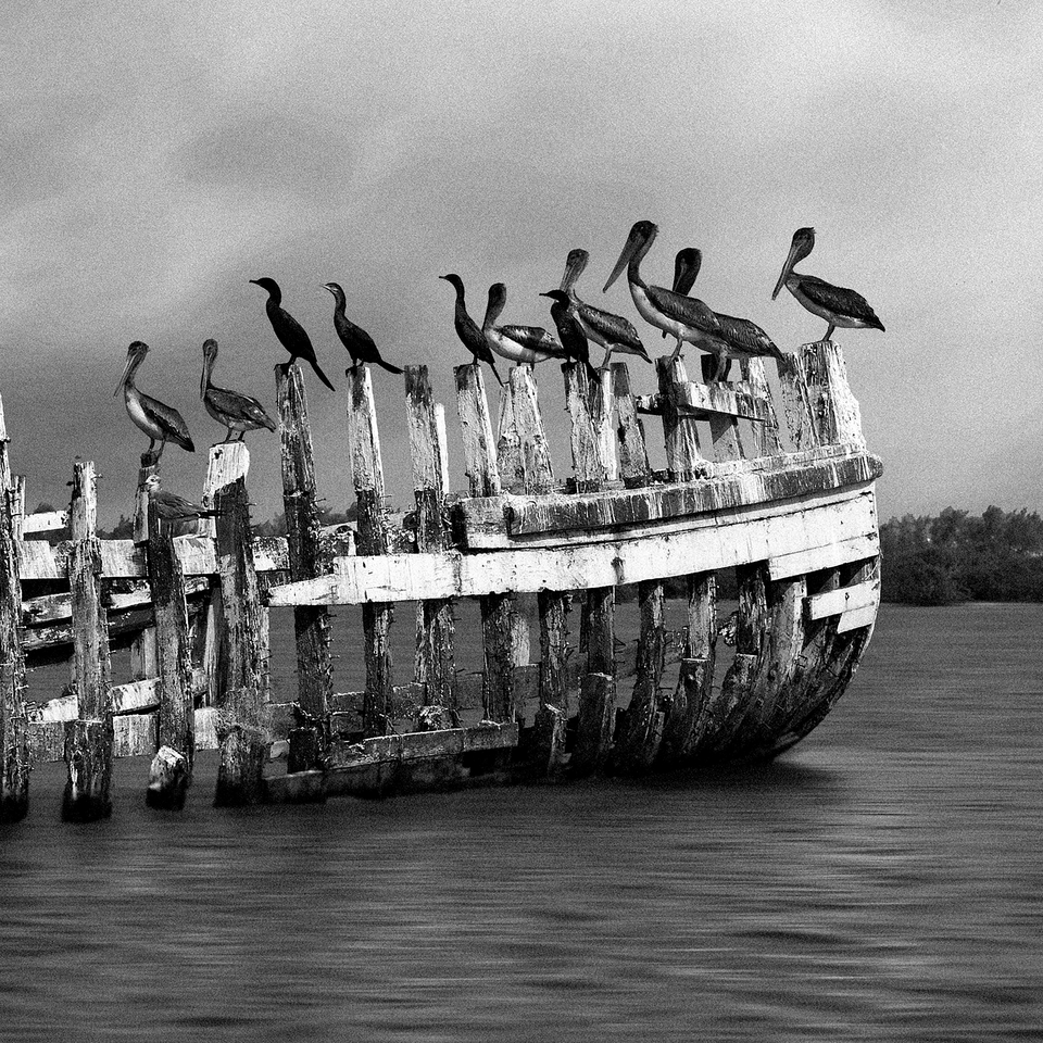 School Bus - Acrilico Impresion Directa Brillo